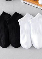 Cannes No-Show Socks